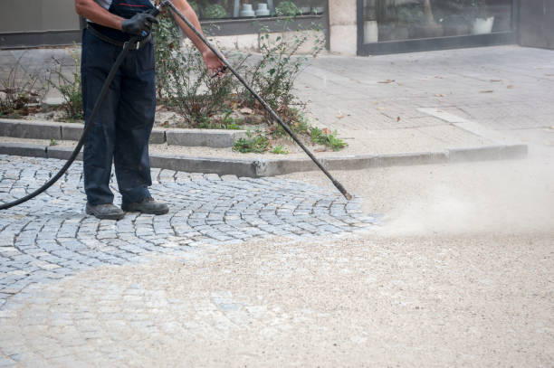 Professional  Pressure Washing Services in Thoreau, NM