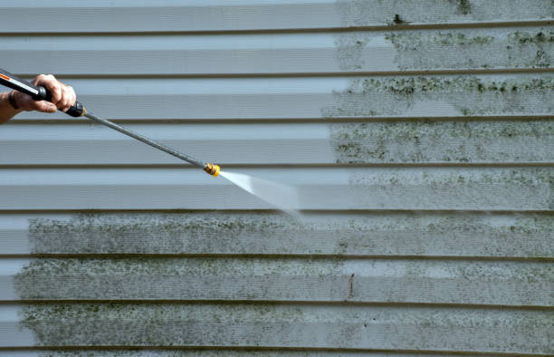Best Driveway Pressure Washing  in Thoreau, NM